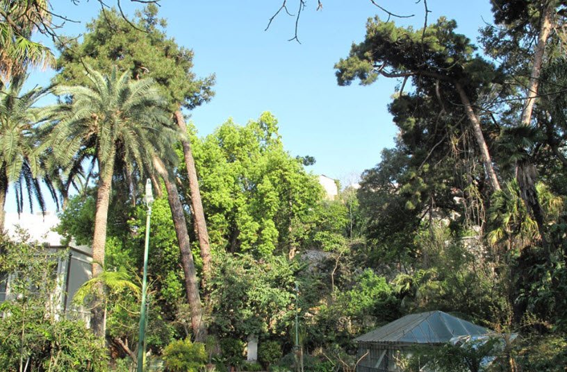 University Botanical Garden, Italy